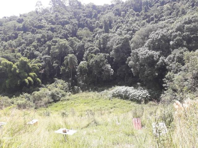 Venda em Jurupara - Piedade