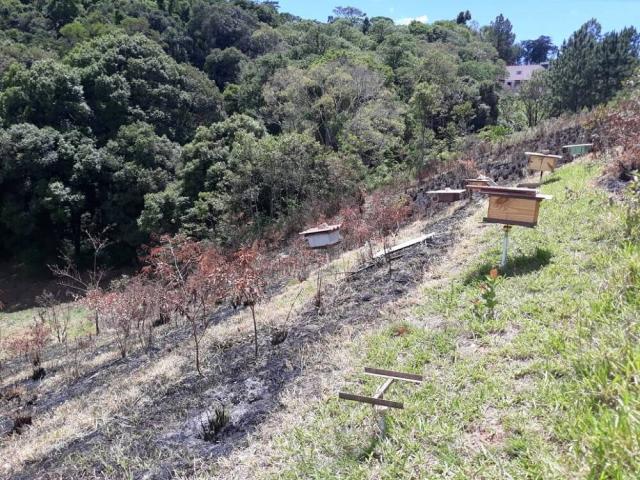 Chácara para Venda em Piedade - 4